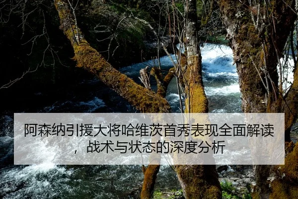 阿森纳引援大将哈维茨首秀表现全面解读，战术与状态的深度分析