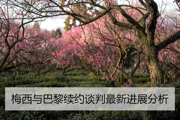 梅西与巴黎续约谈判最新进展分析